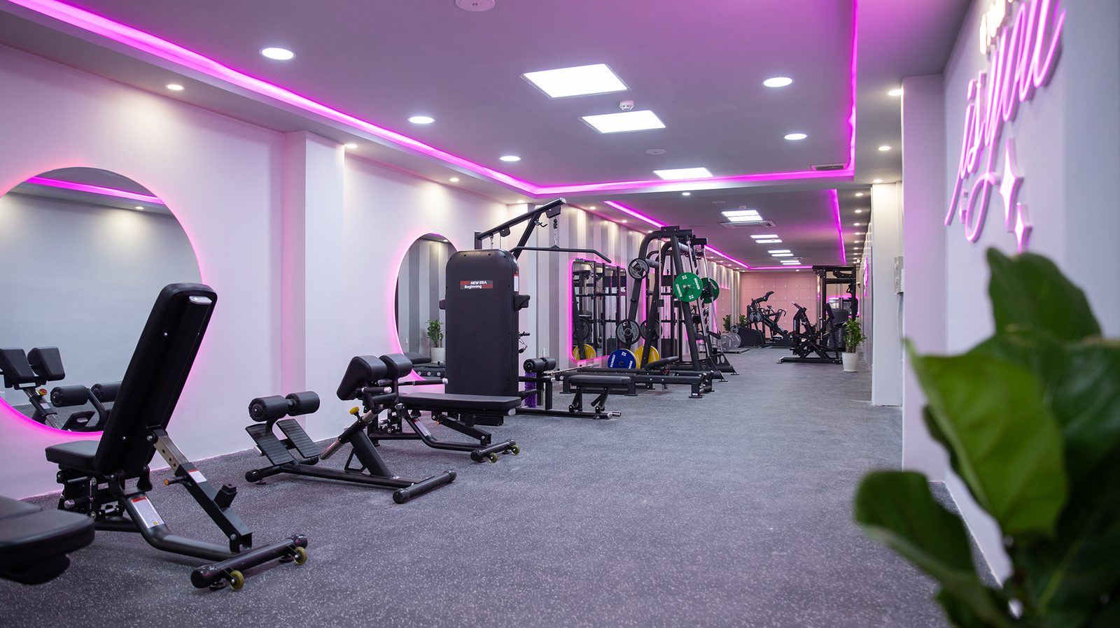So sánh Boxing Gym Yoga cho nữ