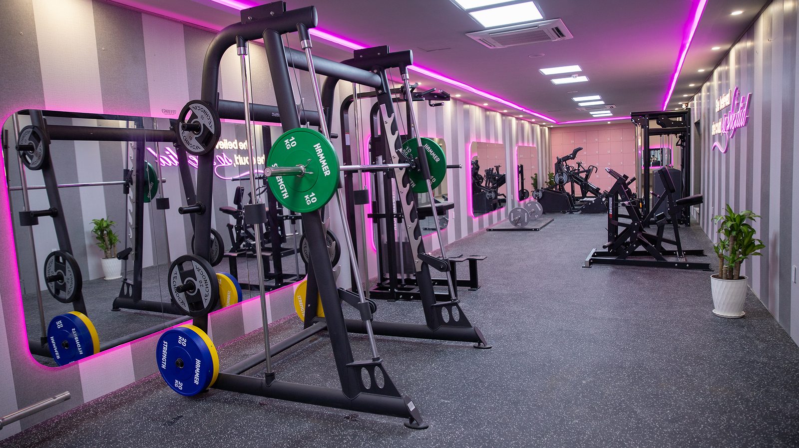 Khu tập tạ tại GirlFit